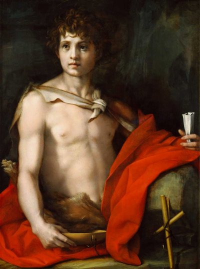 Saint John the Baptist by Andrea del Sarto